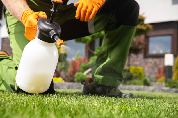 Best Exterminator Services  in Los Altos Hills, CA