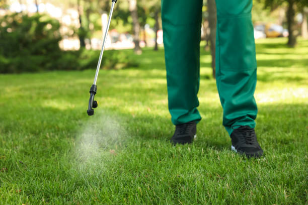 Trusted Los Altos Hills, CA Pest Control Experts