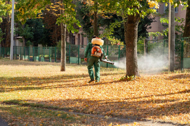 Best Best Pest Control Companies  in Los Altos Hills, CA