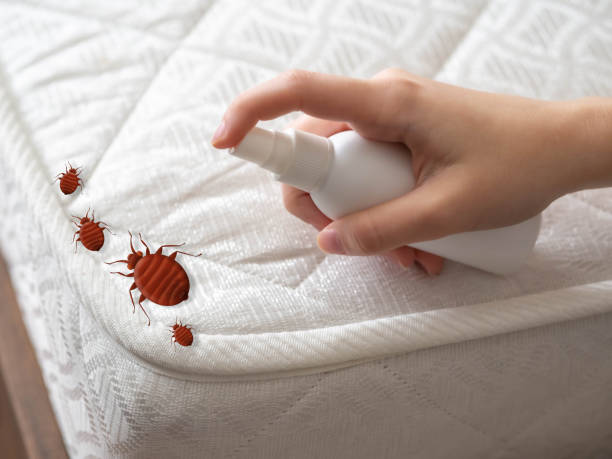 Best Best Pest Control Companies  in Los Altos Hills, CA