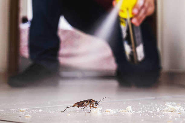 Best Pest Control Near Me  in Los Altos Hills, CA