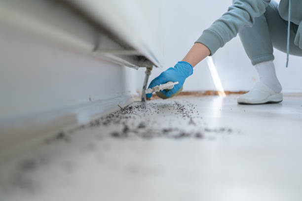 Best Mosquito Control Services  in Los Altos Hills, CA
