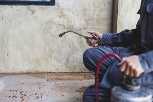 Best Pest Prevention Services  in Los Altos Hills, CA
